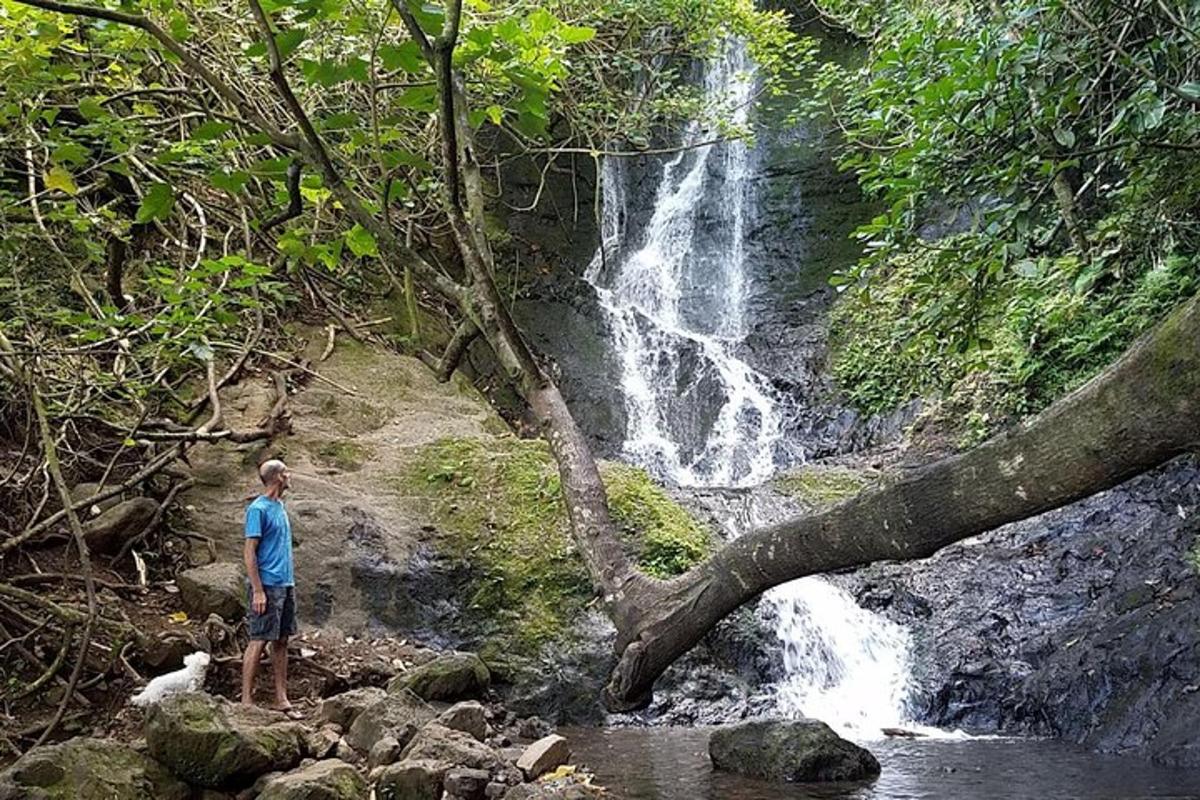 un bărbat care stă în fața unei cascade
