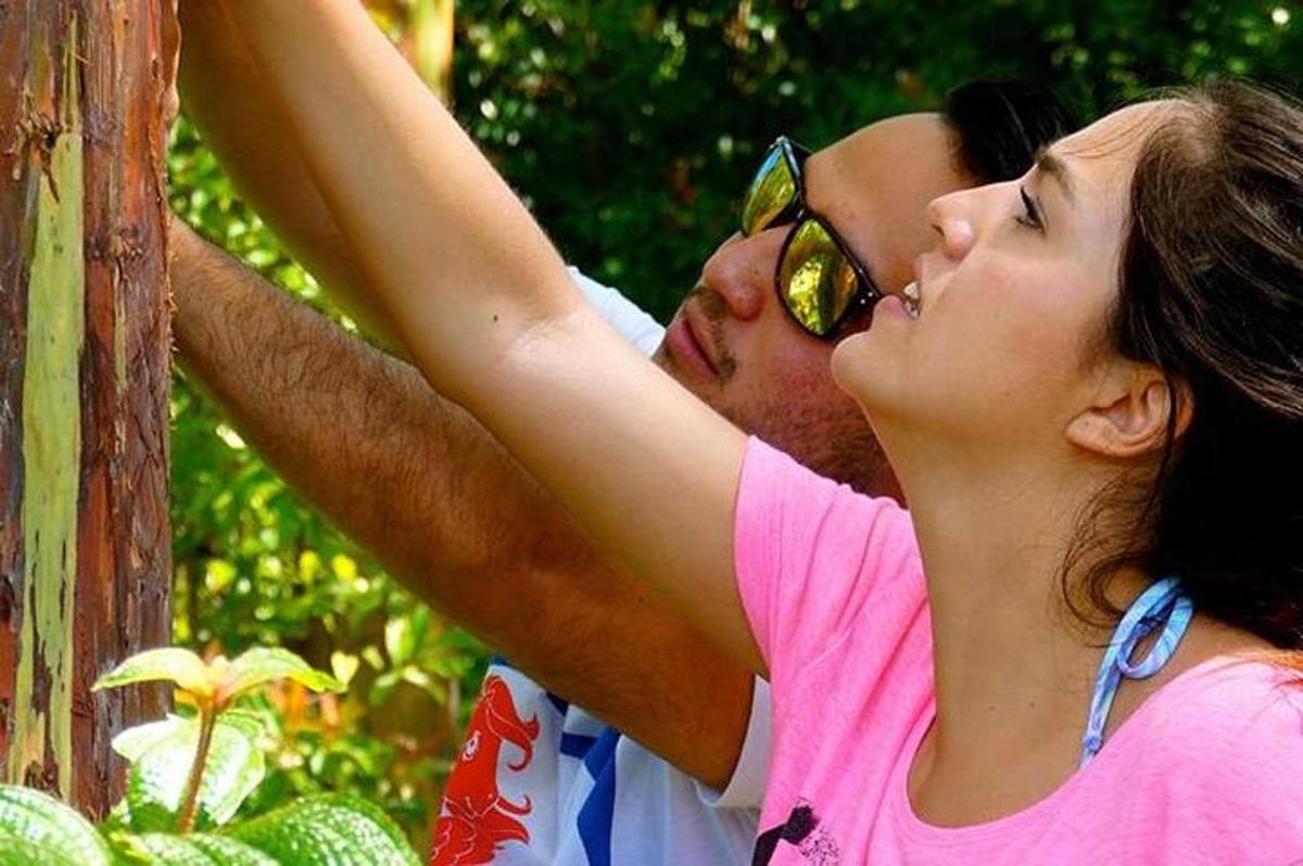 Un hombre y una mujer mirando hacia un árbol.