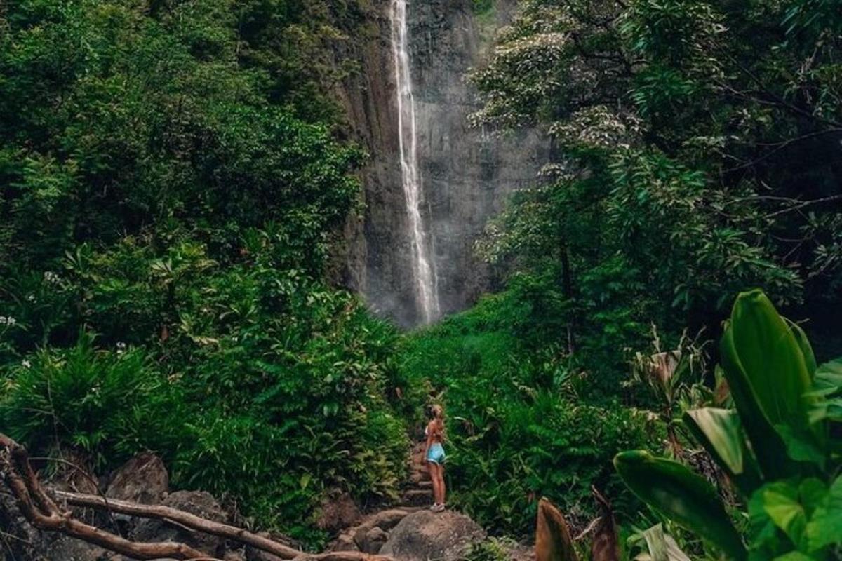 seorang wanita berdiri di hadapan air terjun