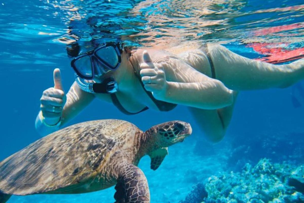 una tartaruga marina che nuota nell'acqua con un sub