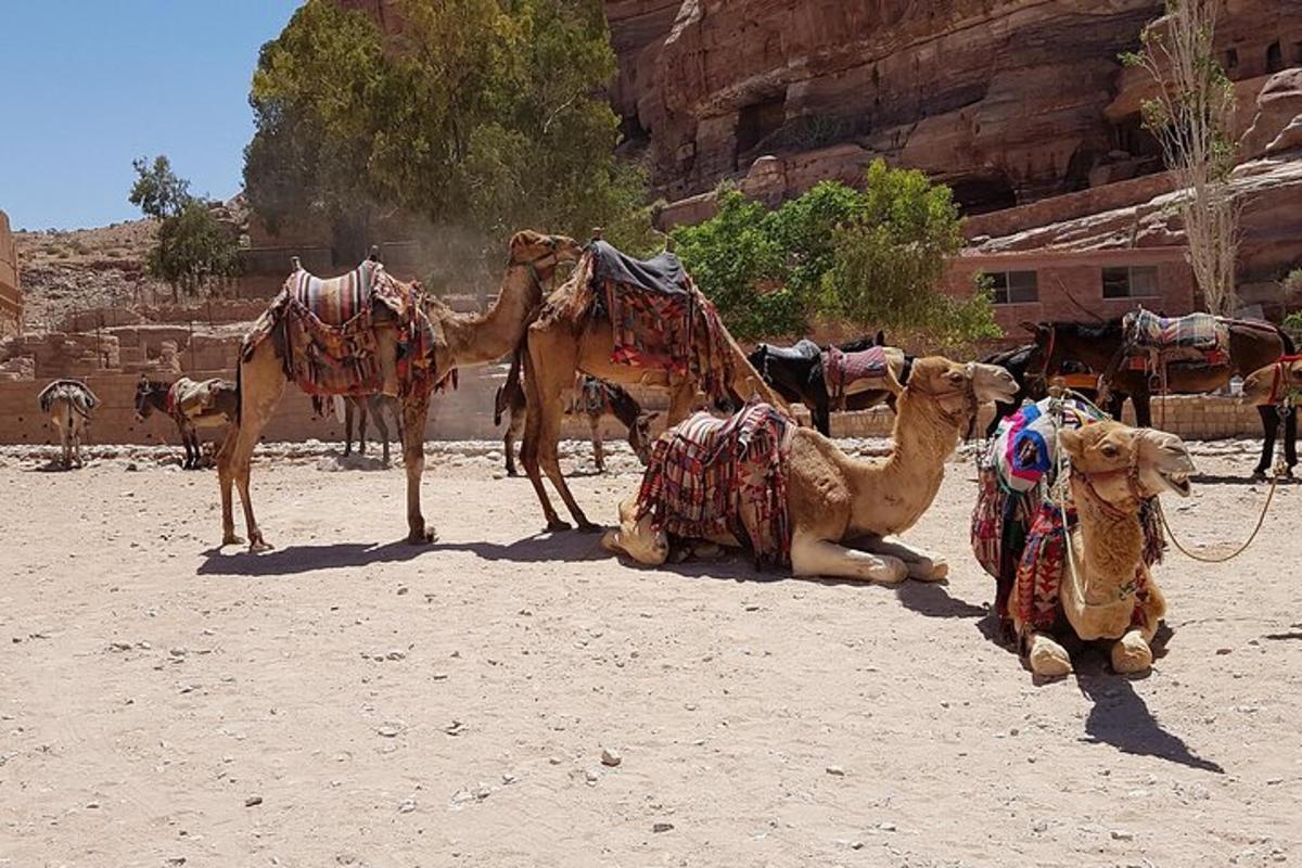 Turistik nokta fotoğrafı 5