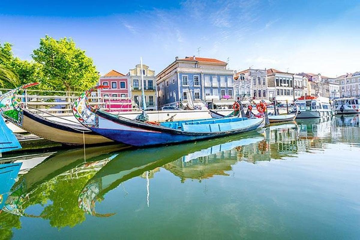 un gruppo di barche attraccate in un porto con edifici