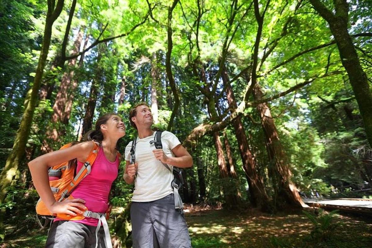 un uomo e una donna in piedi in una foresta