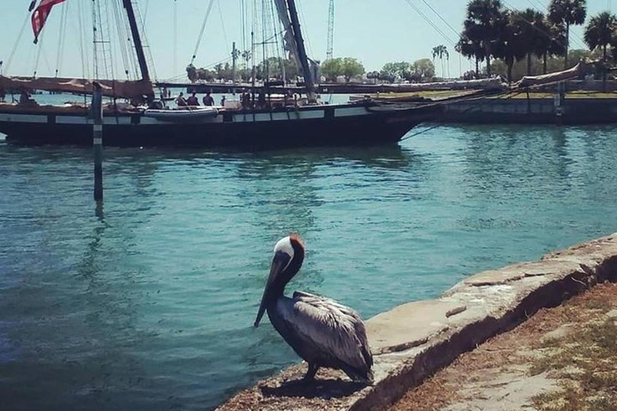 птица која стоји на ивици воде са чамцем