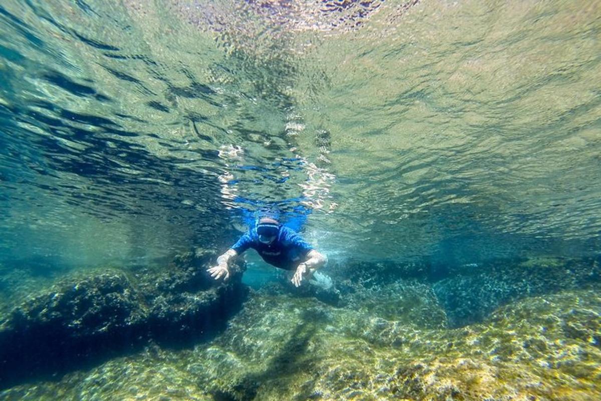 ein Mann schwimmt im Wasser