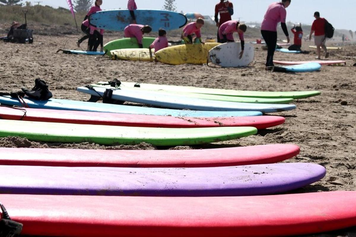 Un grupo de tablas de surf alineadas en una playa