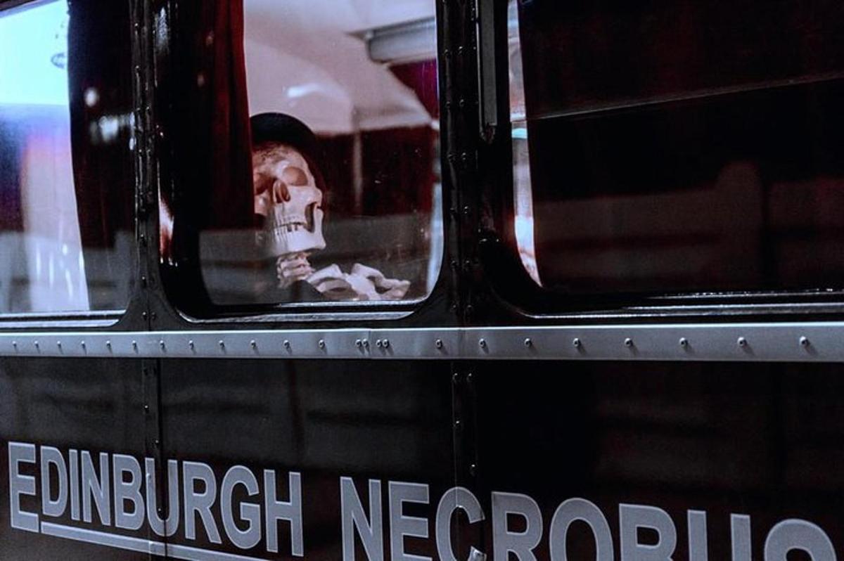 a skull sitting in the window of a bus