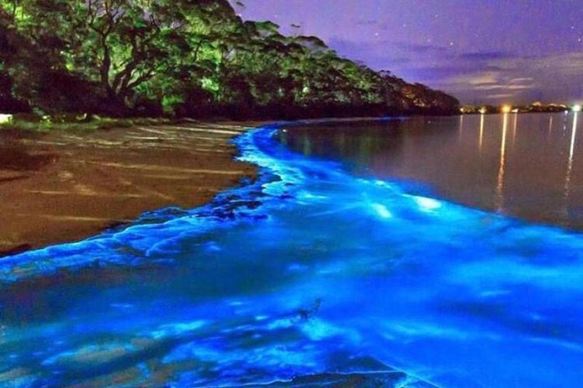 een afbeelding van een blauw strand bij nacht