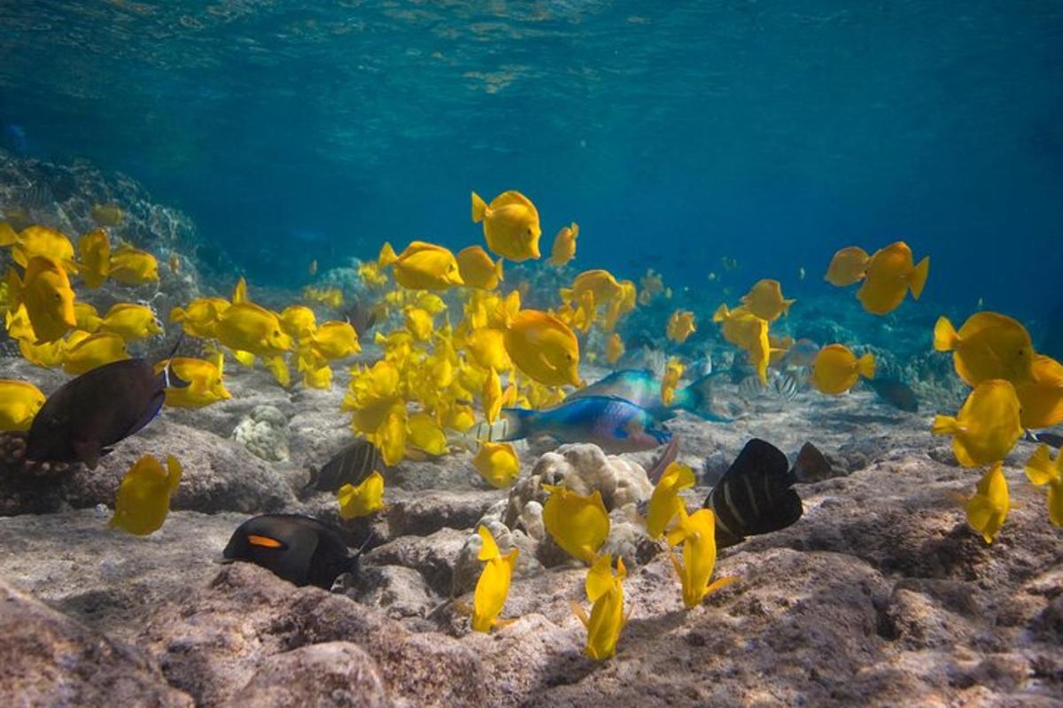 Lankytinos vietos ar pramogos nuotrauka numeris 7