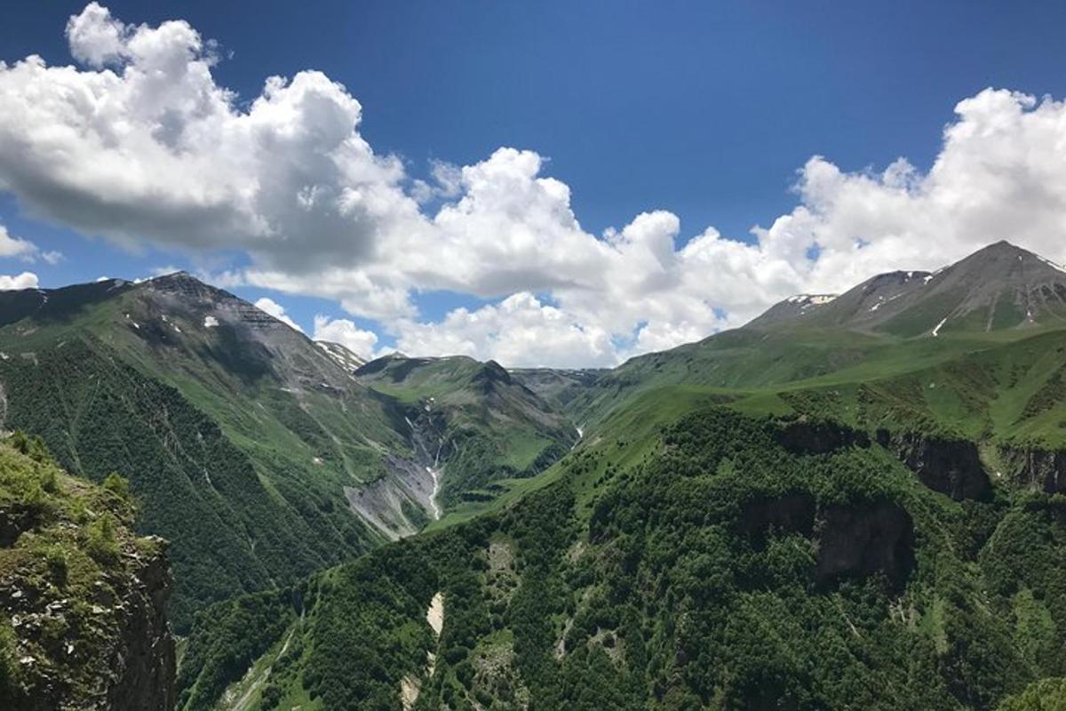 zračni pogled na gorsko dolino z drevesi