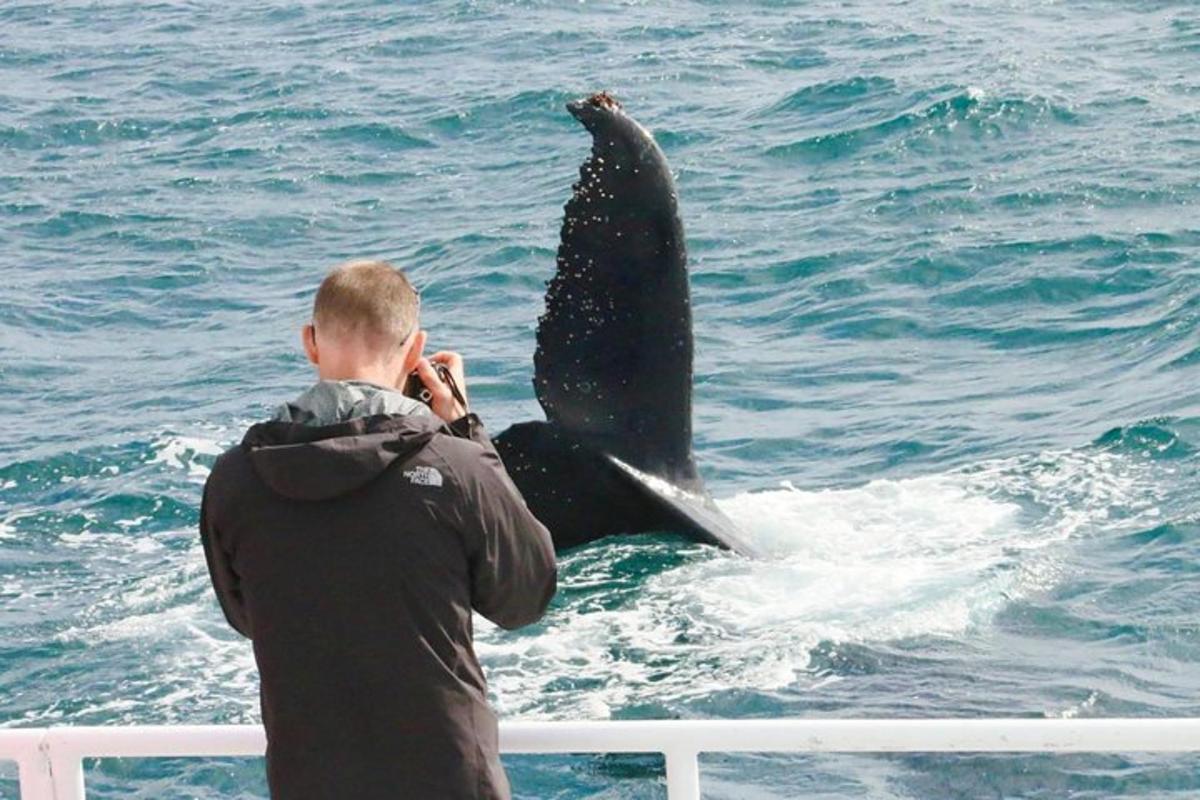 Lankytinos vietos ar pramogos nuotrauka numeris 6