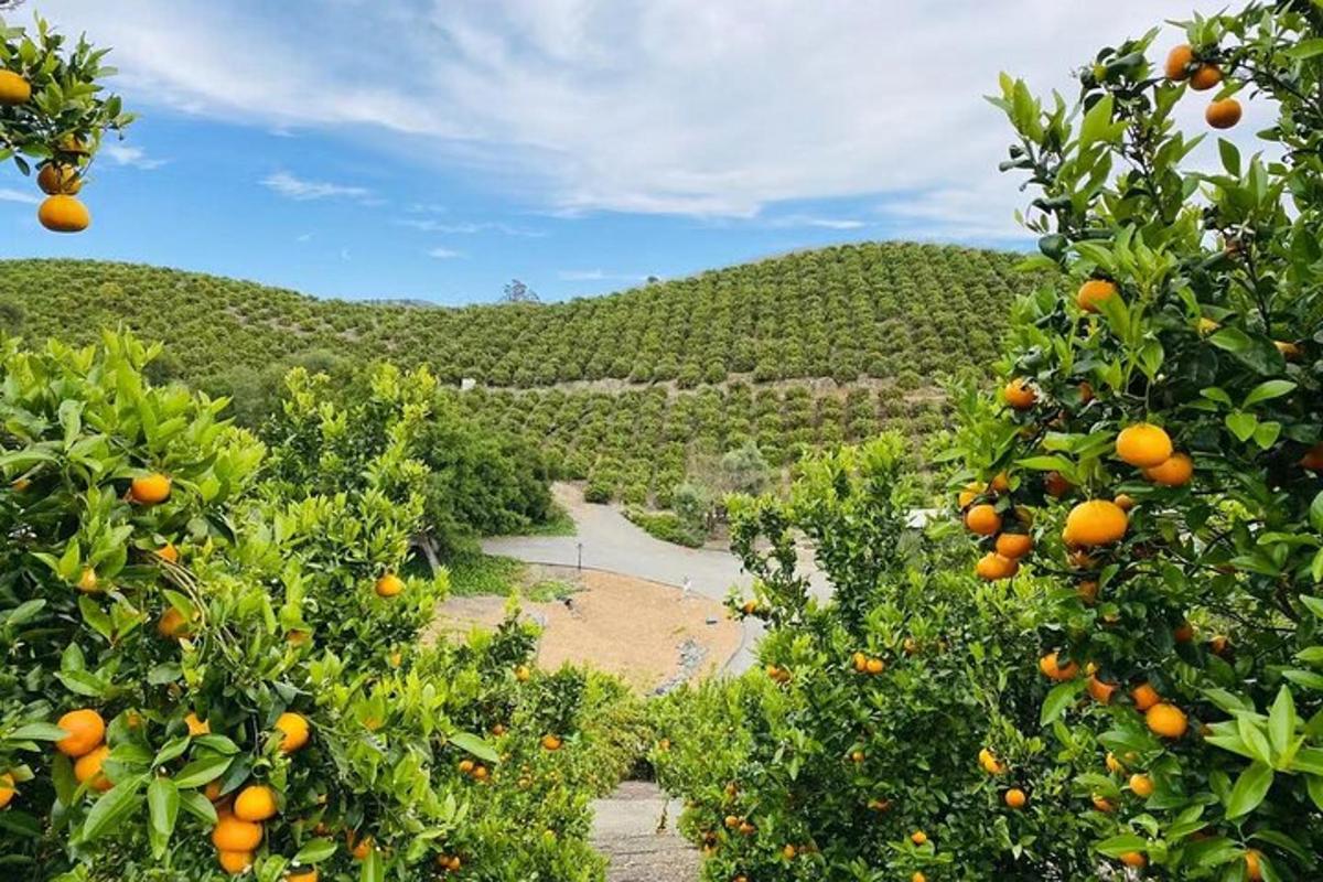 Turistik nokta fotoğrafı 1