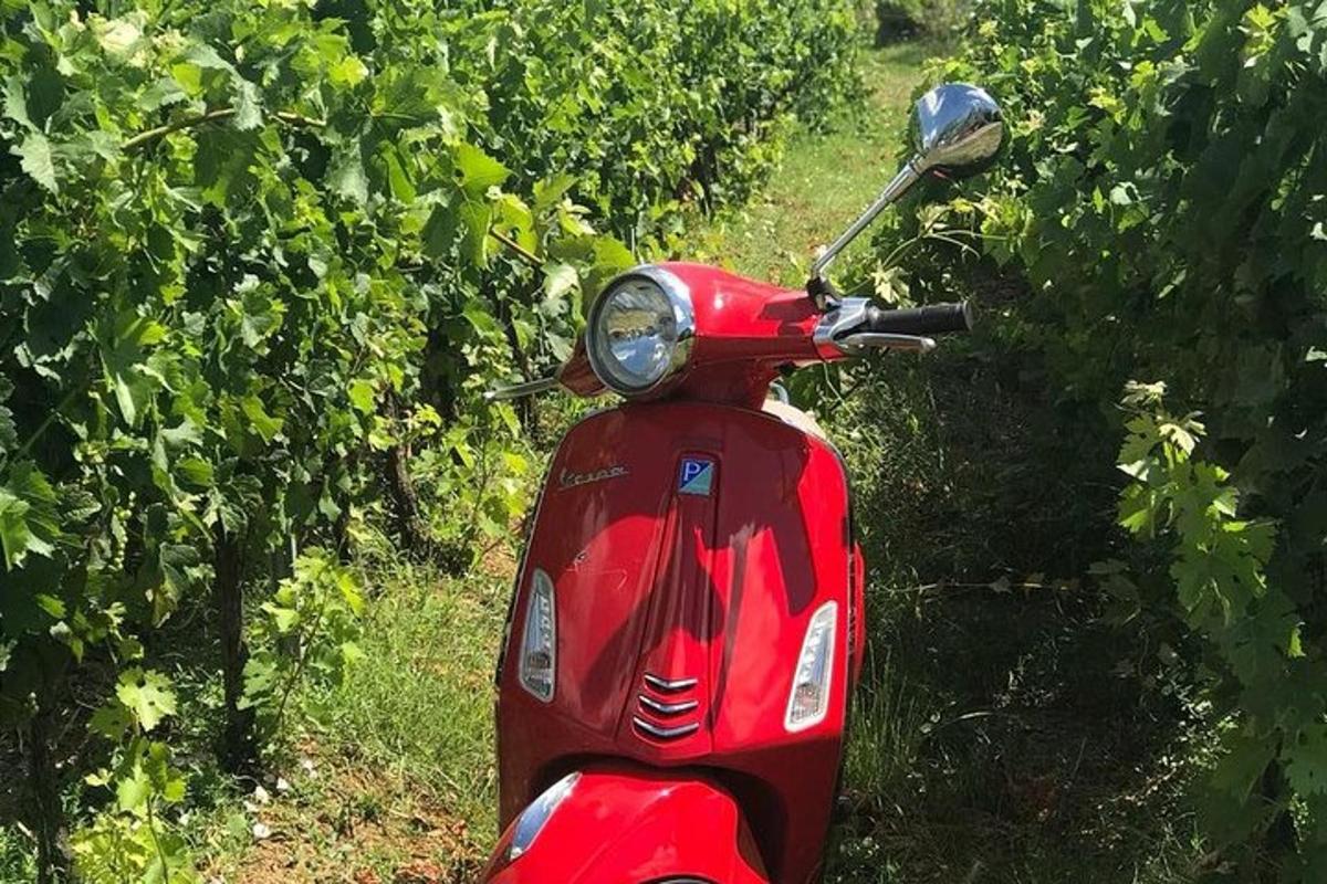 a red scooter parked in a field of trees