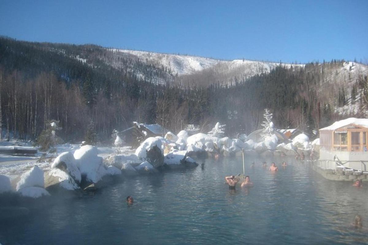a group of people swimming in a body of water