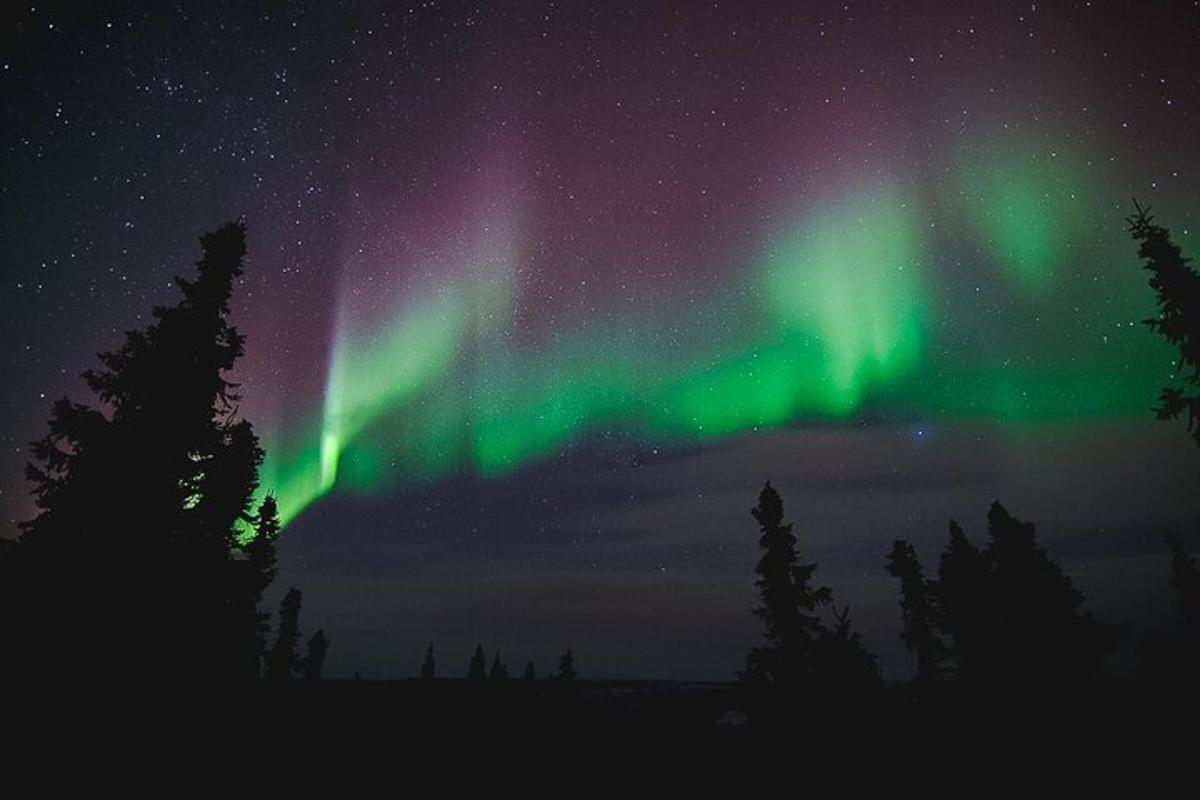 Bilde 6 av attraksjonen