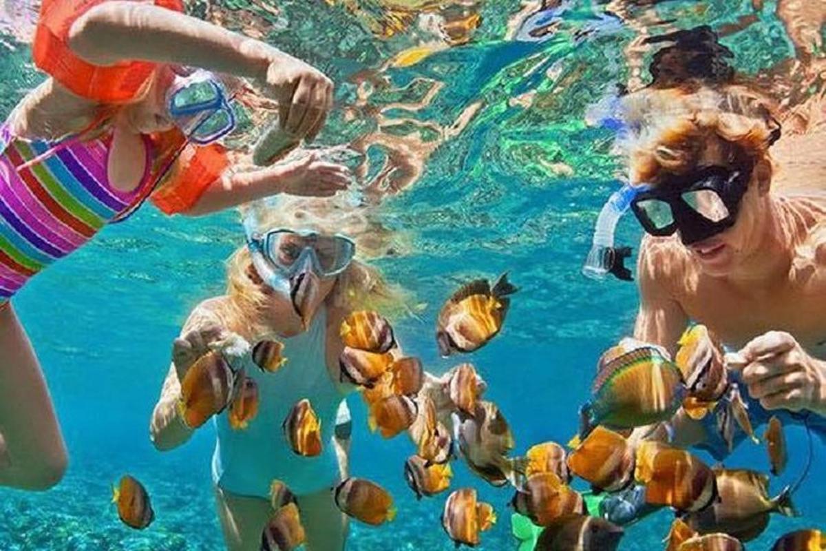 hópur fólks í vatninu að horfa á fiska