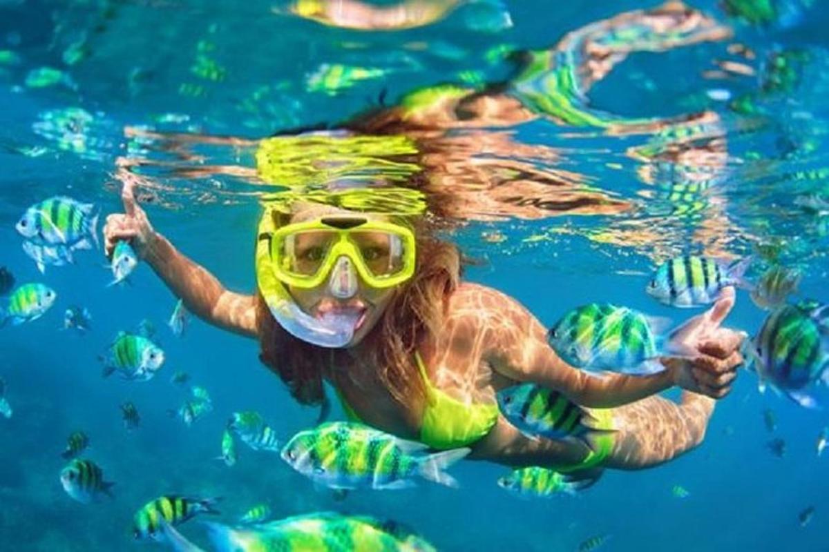 seorang wanita berenang di dalam air dengan snorkel