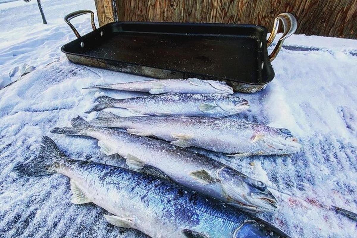 Un grupo de peces sobre una mesa en una bandeja.