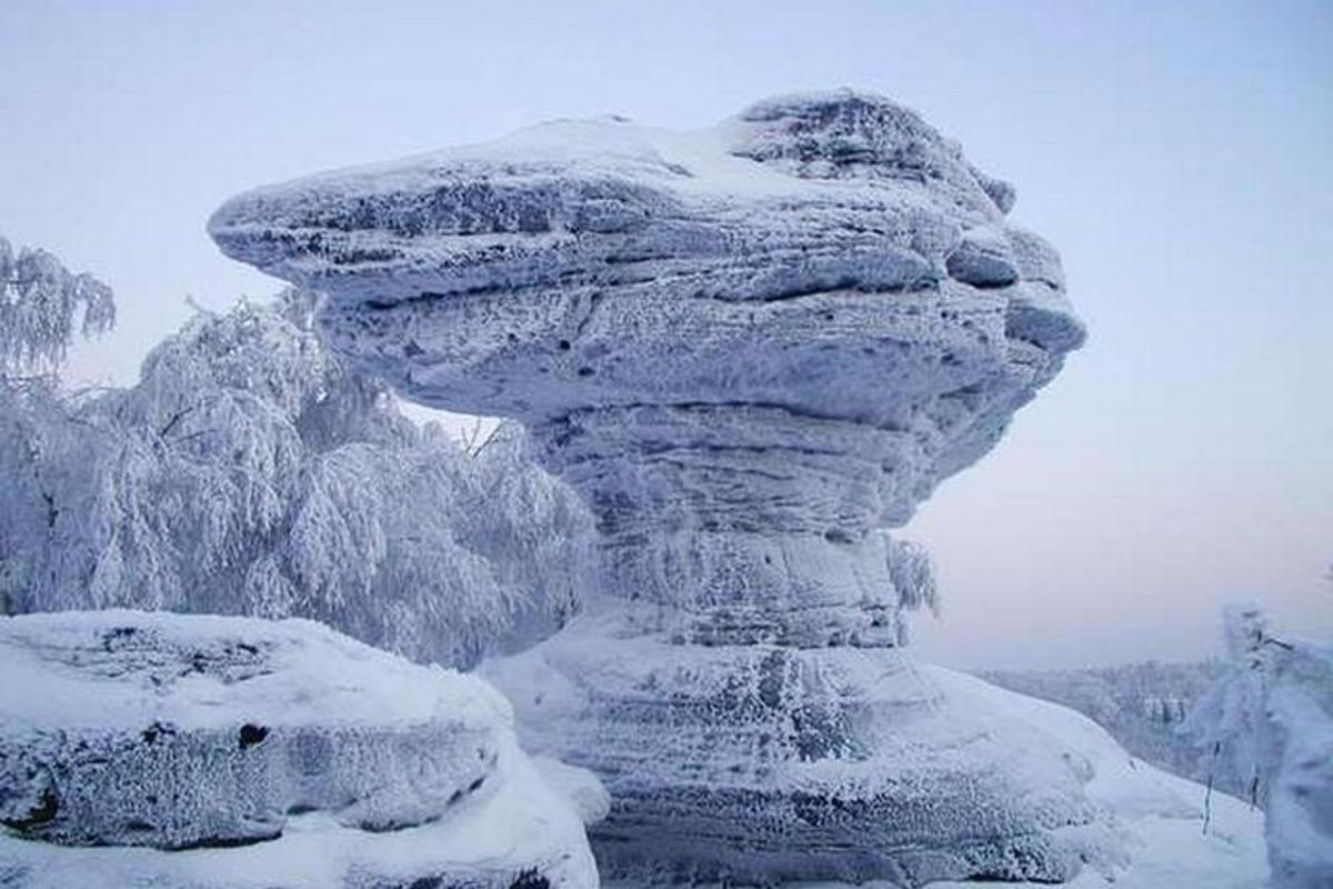 una formació rocosa coberta de neu amb arbres al fons