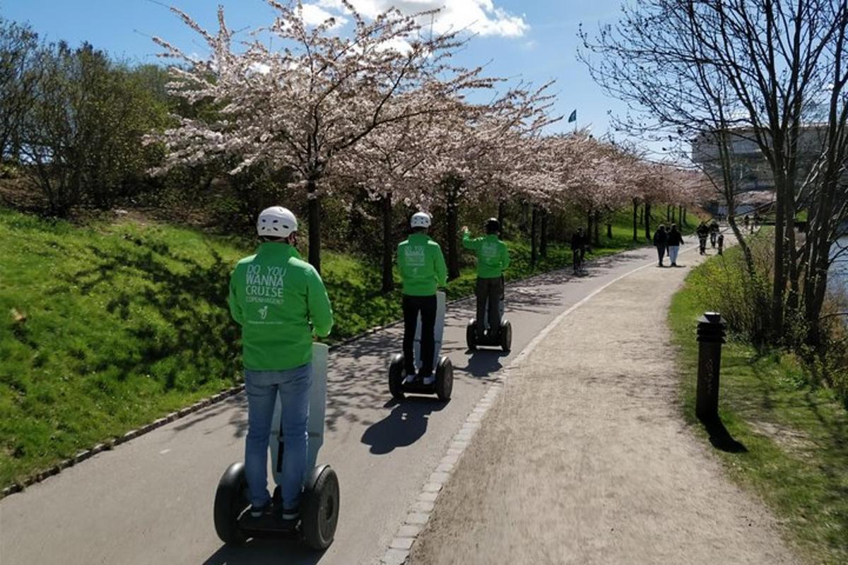 kolm rohelistes särkides inimest sõidavad mööda teed segwaydega