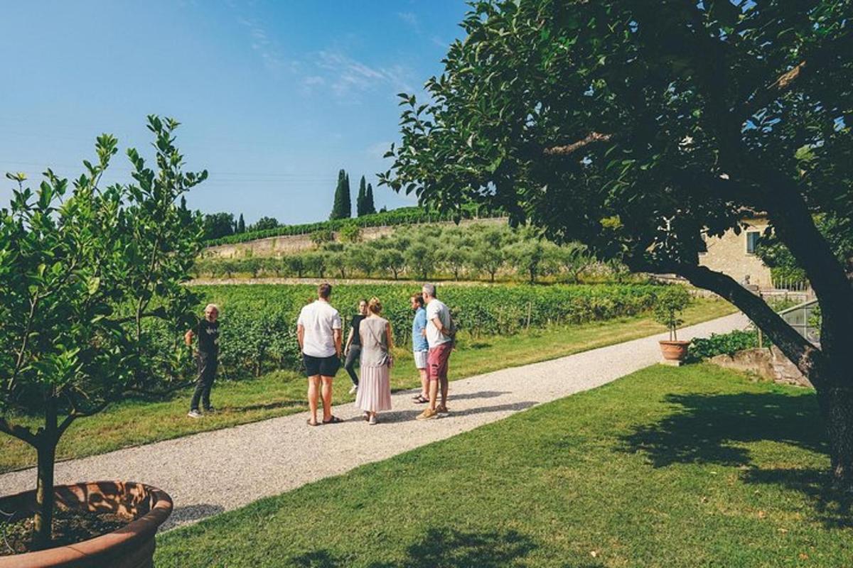 un gruppo di persone che camminano lungo un sentiero