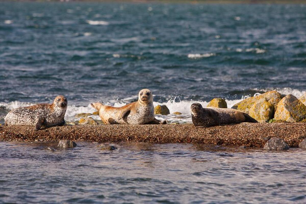 Lankytinos vietos ar pramogos nuotrauka numeris 5