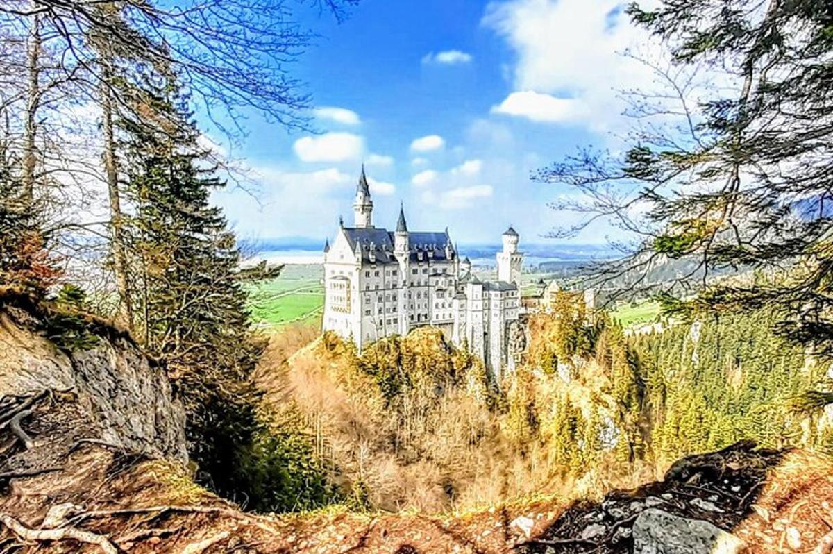 un castello in cima a una collina con alberi
