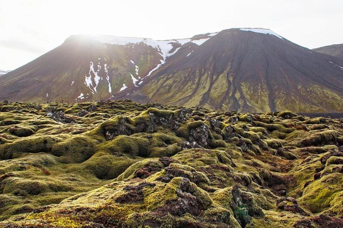 Un campo de hierba con una montaña al fondo