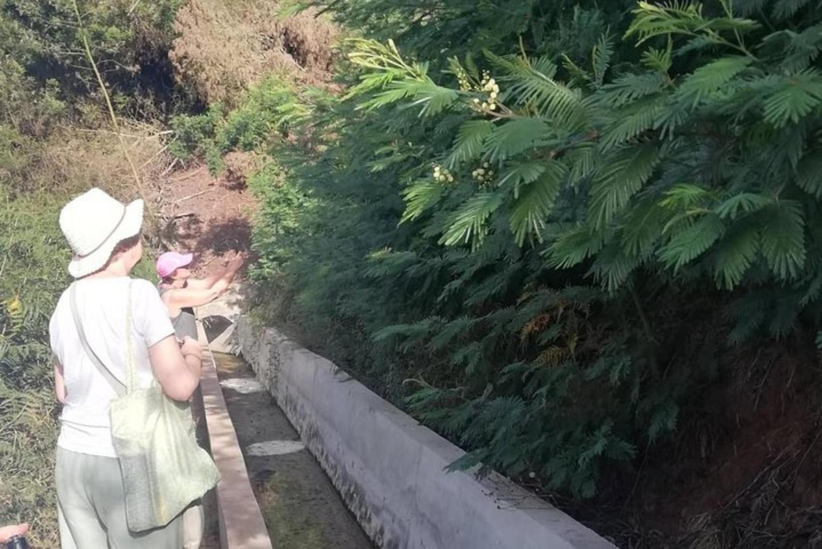 Una persona mira hacia abajo a una persona parada en un camino.