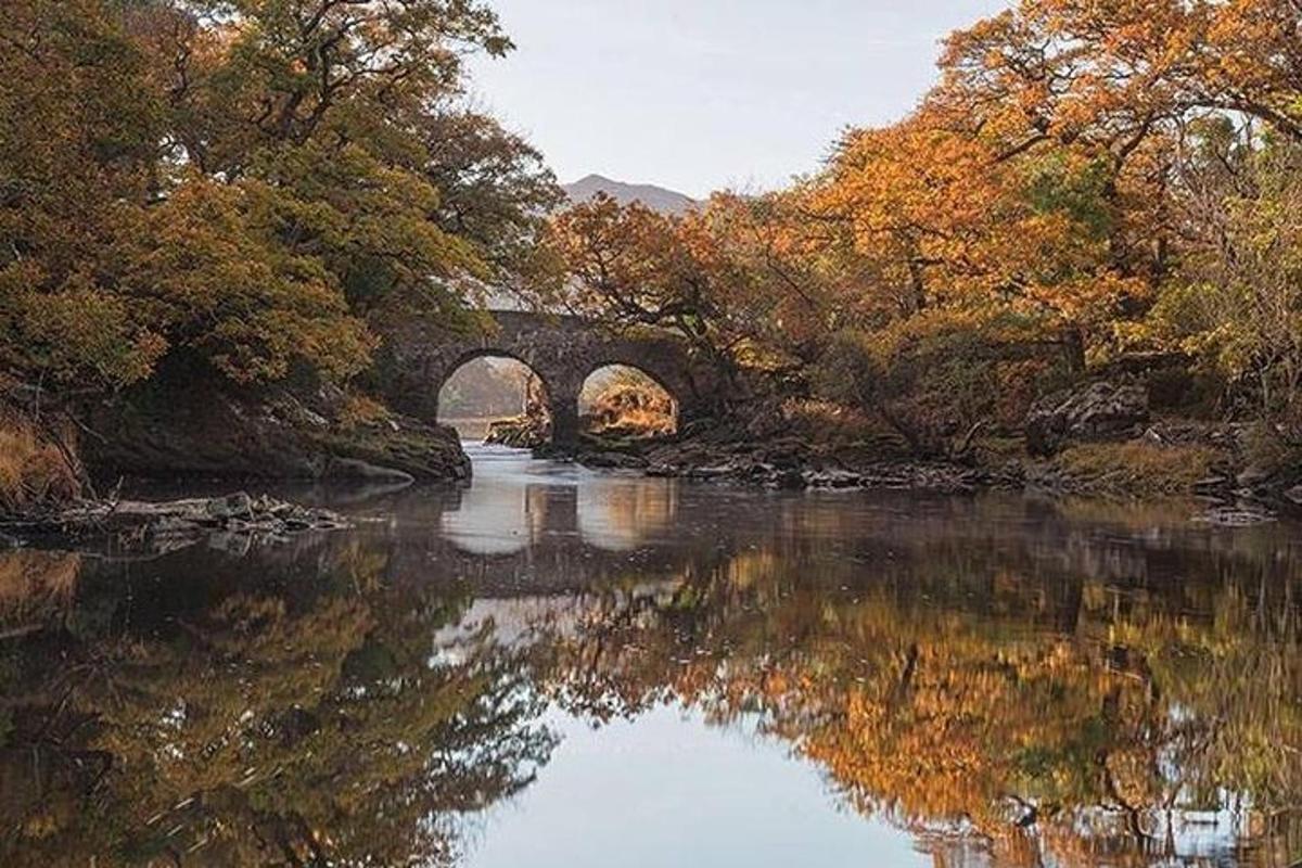 uma ponte sobre um rio com um reflexo na água