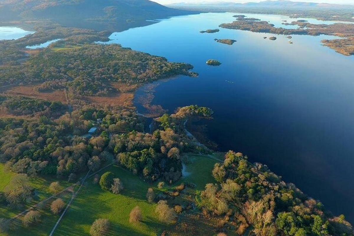 Letecký pohled na jezero se stromy a vodou