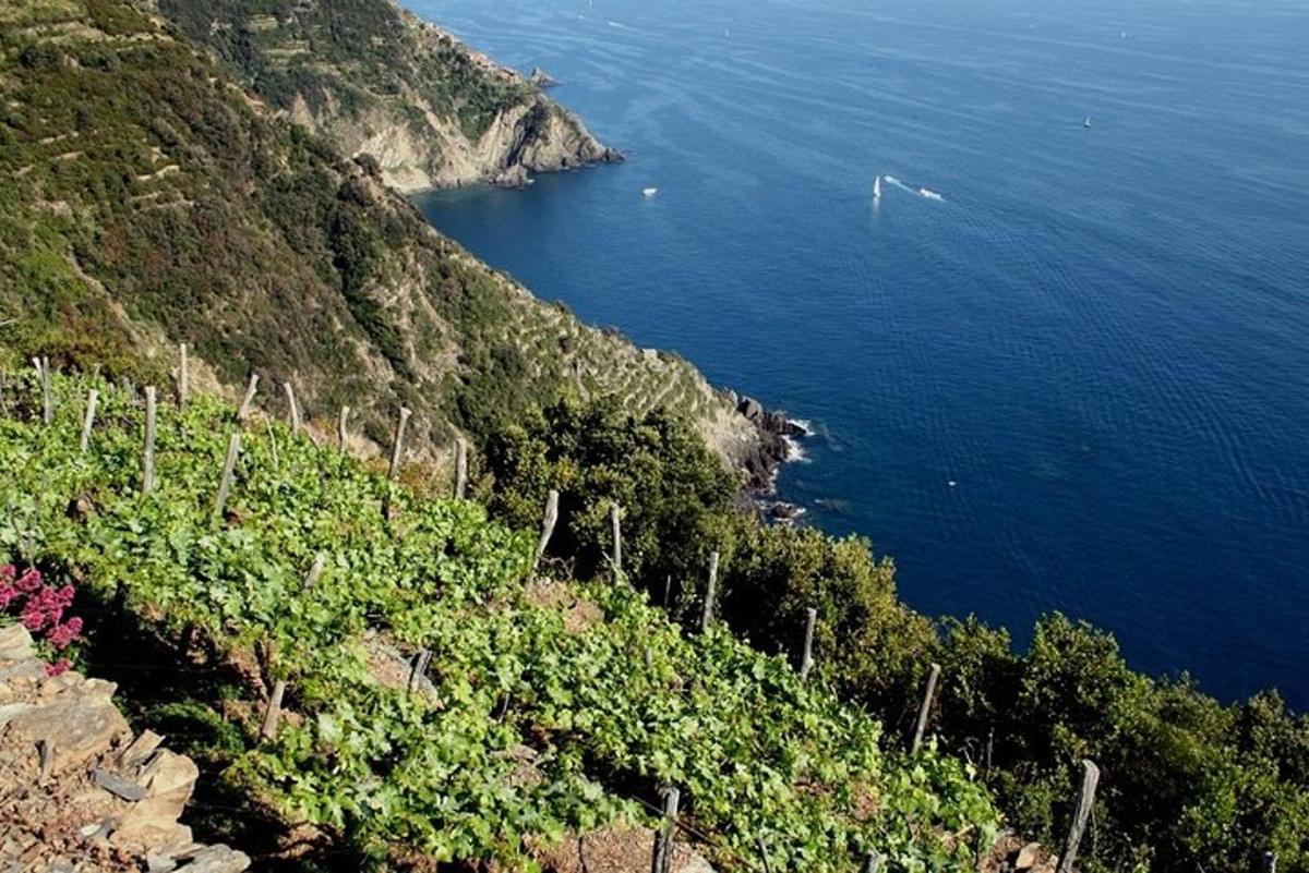 a view of the ocean from a cliff