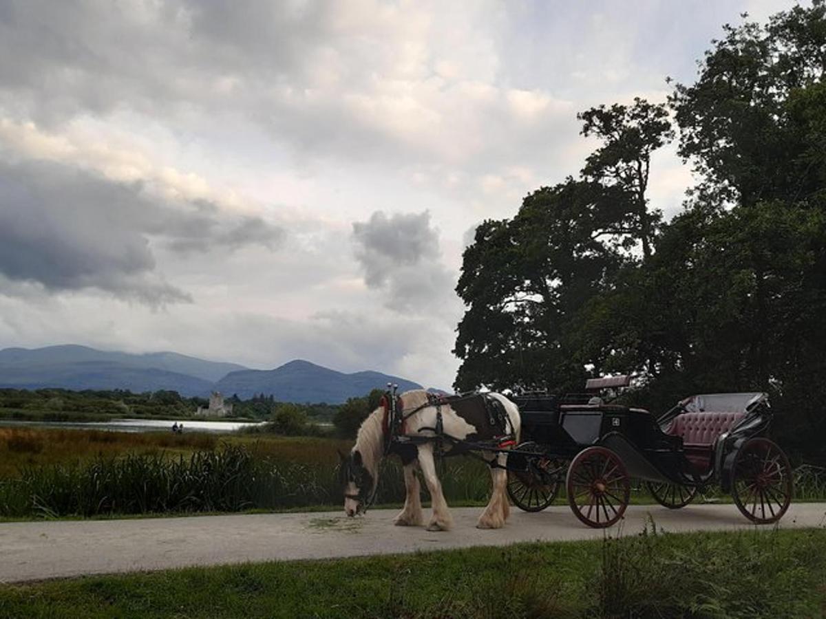 Fotografia atrakcie č. 2