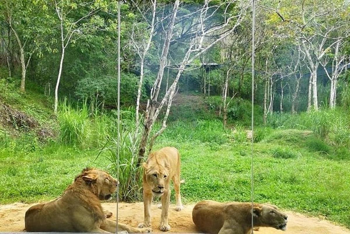 Foto 6 da atração