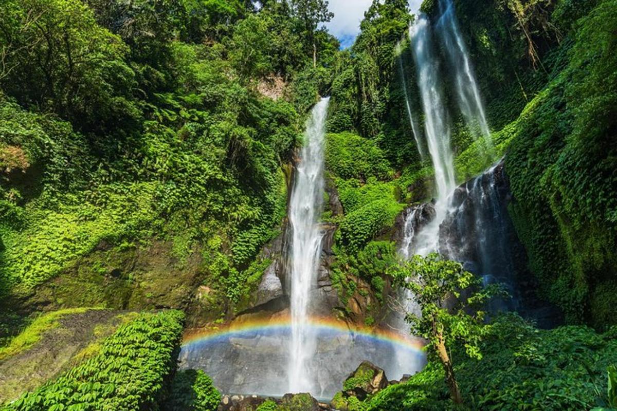 um arco-íris em frente a uma cachoeira em uma floresta