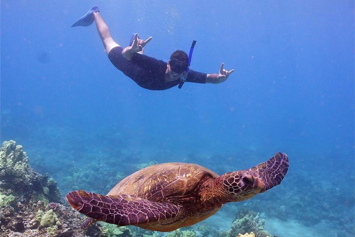 Lankytinos vietos ar pramogos nuotrauka numeris 7