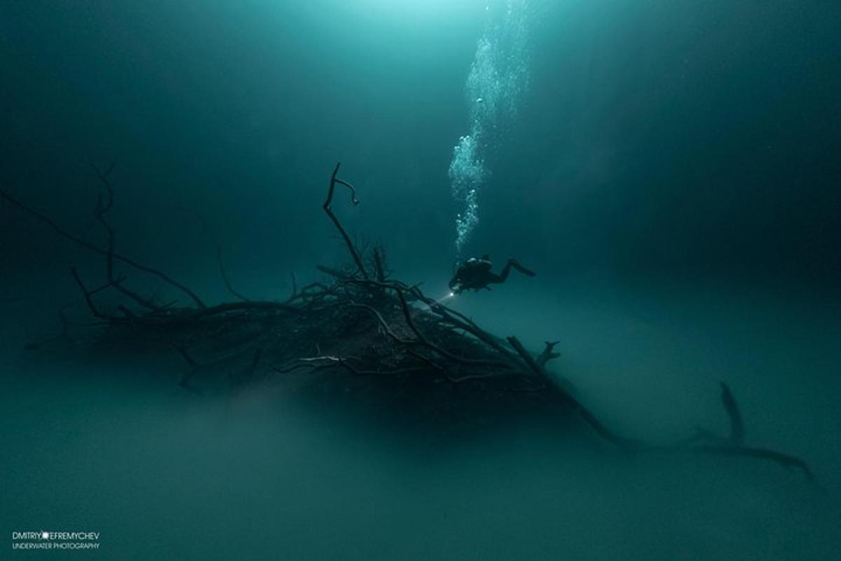 o persoană care înoată în ocean lângă o grămadă de alge marine