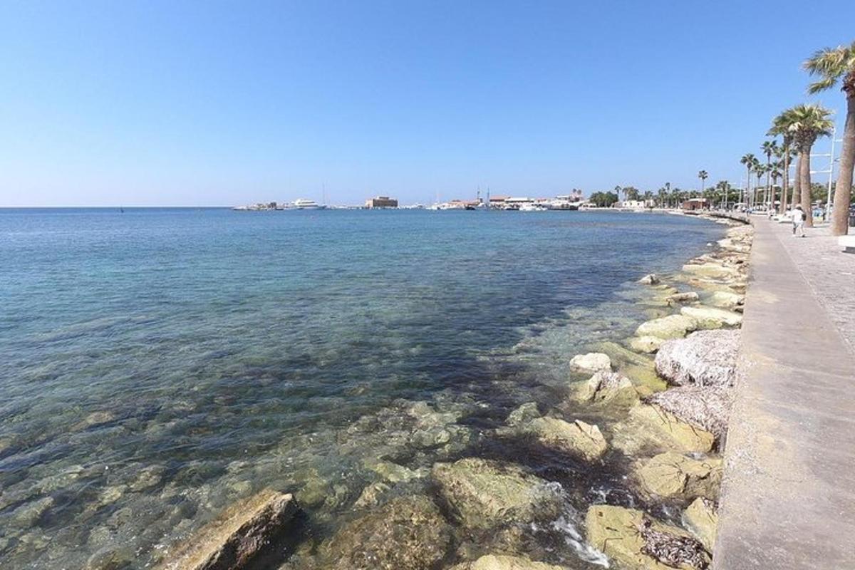 a beach with rocks and the ocean and palm trees