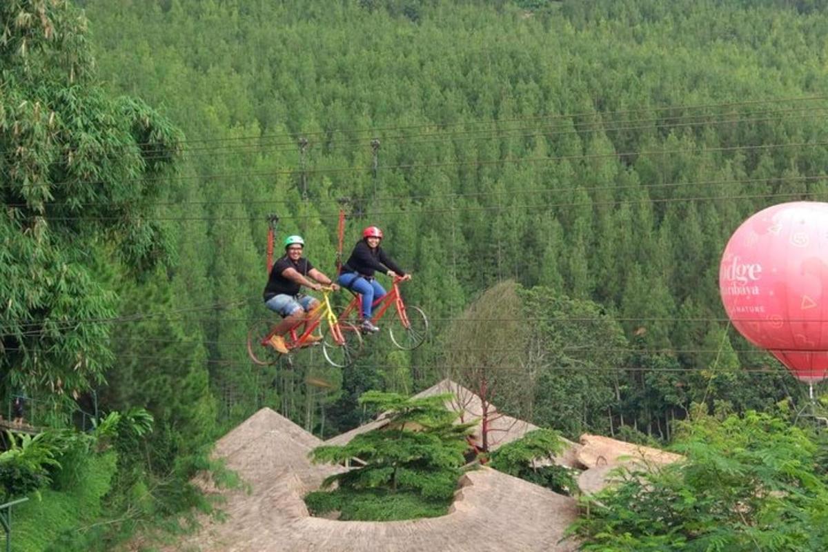 hai người đang đi trên đường trượt zipline trong rừng