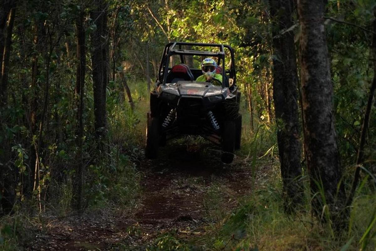 Un jeep conduciendo por un sendero en el bosque