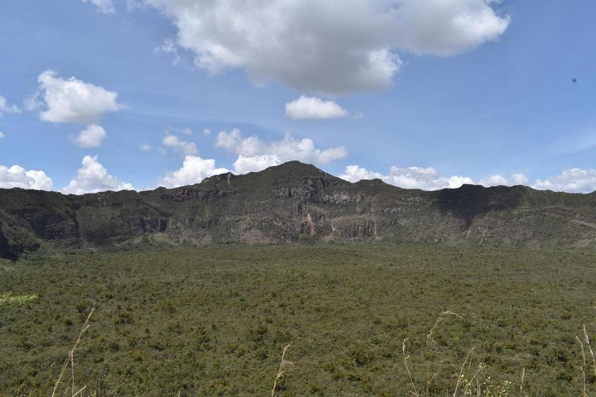 um grande campo com uma montanha ao fundo