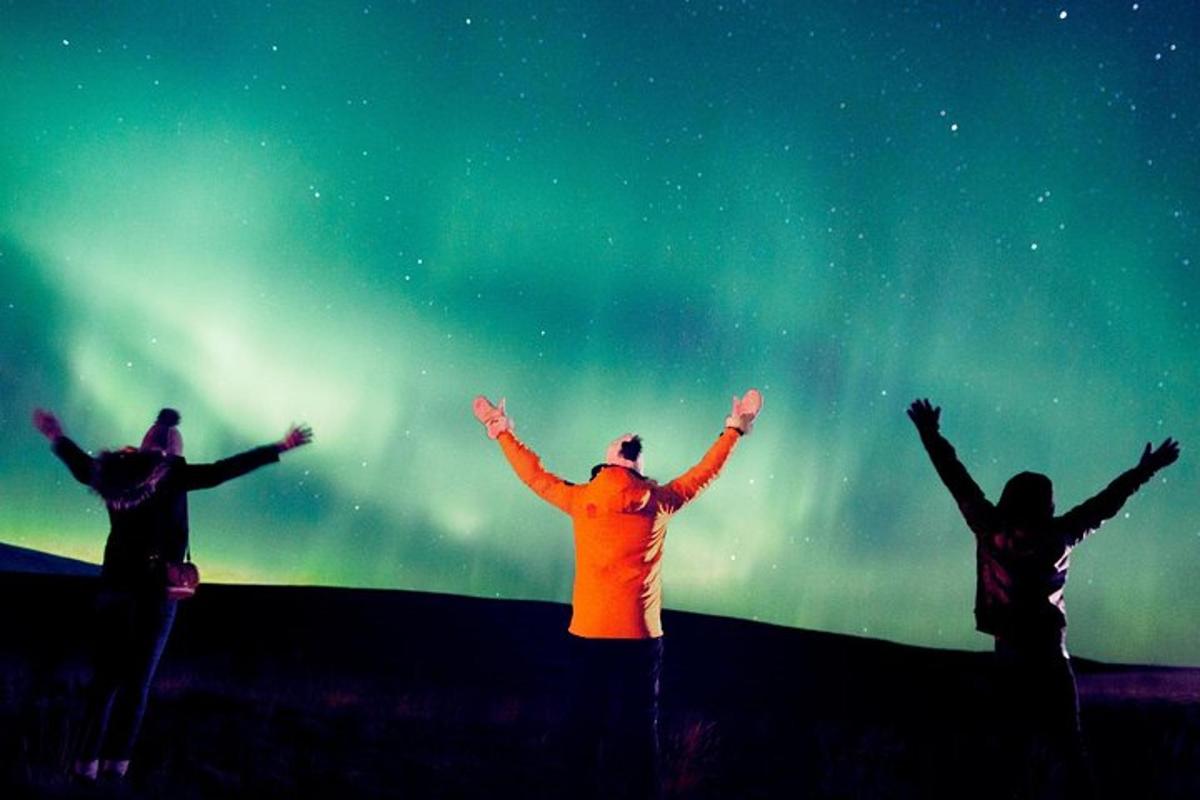 un gruppo di persone in piedi con le braccia alzate a guardare l'aurora boreale