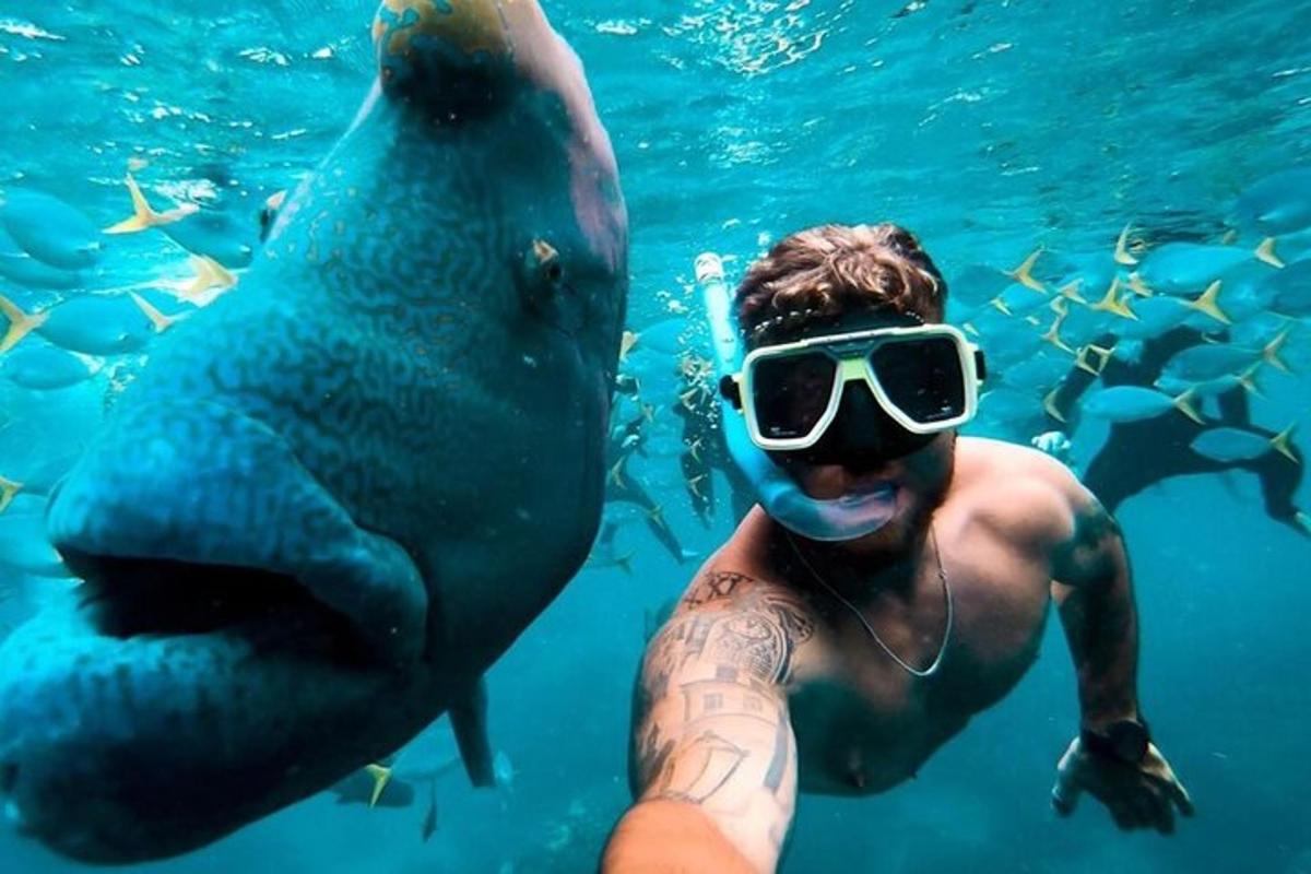 Ein Mann mit Sonnenbrille steht im Wasser neben einem Bären