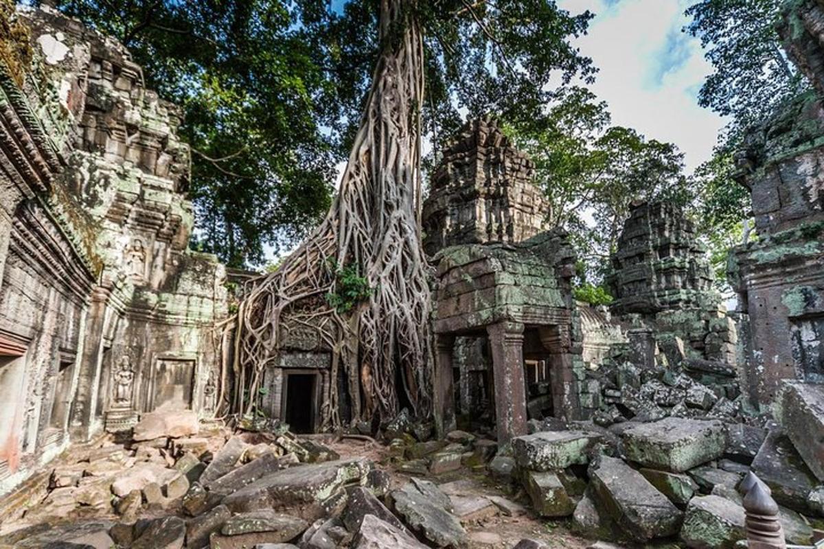 un vecchio edificio in pietra con alberi che crescono su di esso