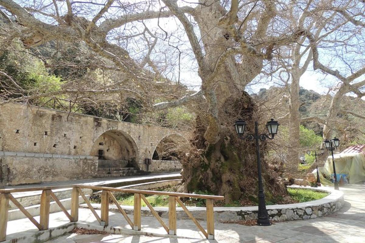 a street light next to a tree and a bridge