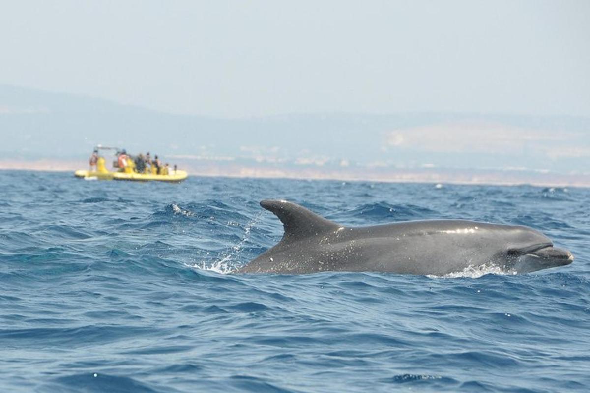 Lankytinos vietos ar pramogos nuotrauka numeris 7