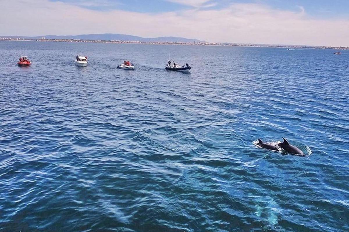 Fotografia da atração 4