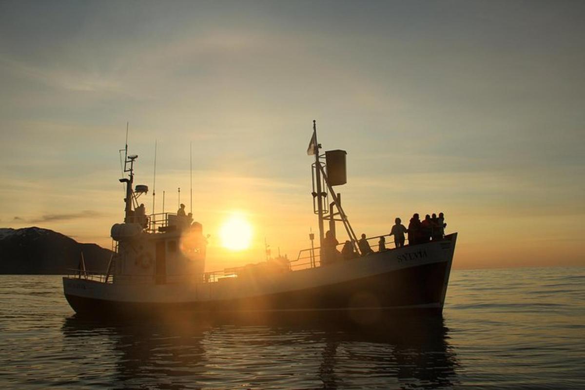 Fotografia da atração 6