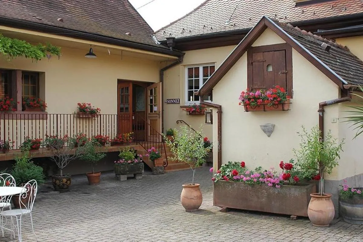 Dégustez ALSACE - Dégustation et explications - Sans visite cave – photo 2