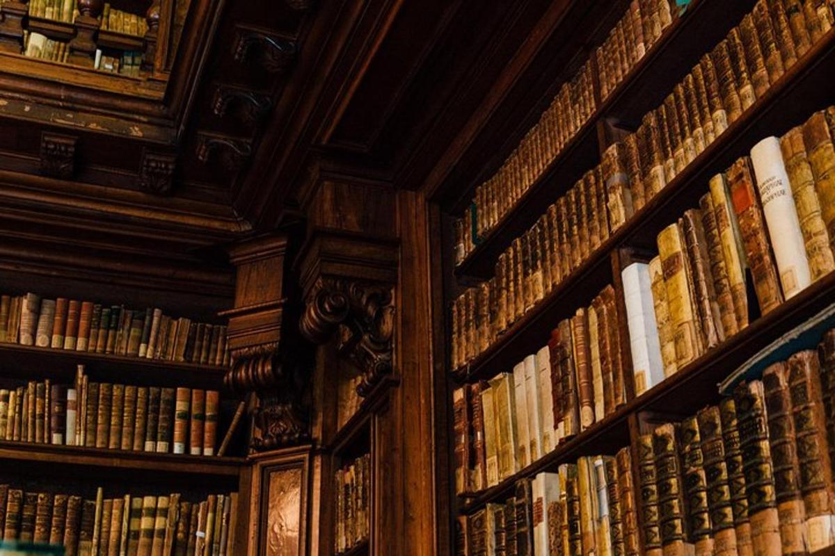 una biblioteca piena di libri sugli scaffali